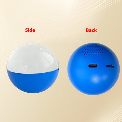 Fashionable And Personalized Electronic Ball